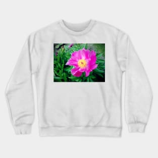 peony Crewneck Sweatshirt